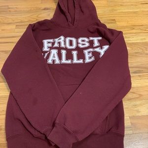 frost valley hoodie